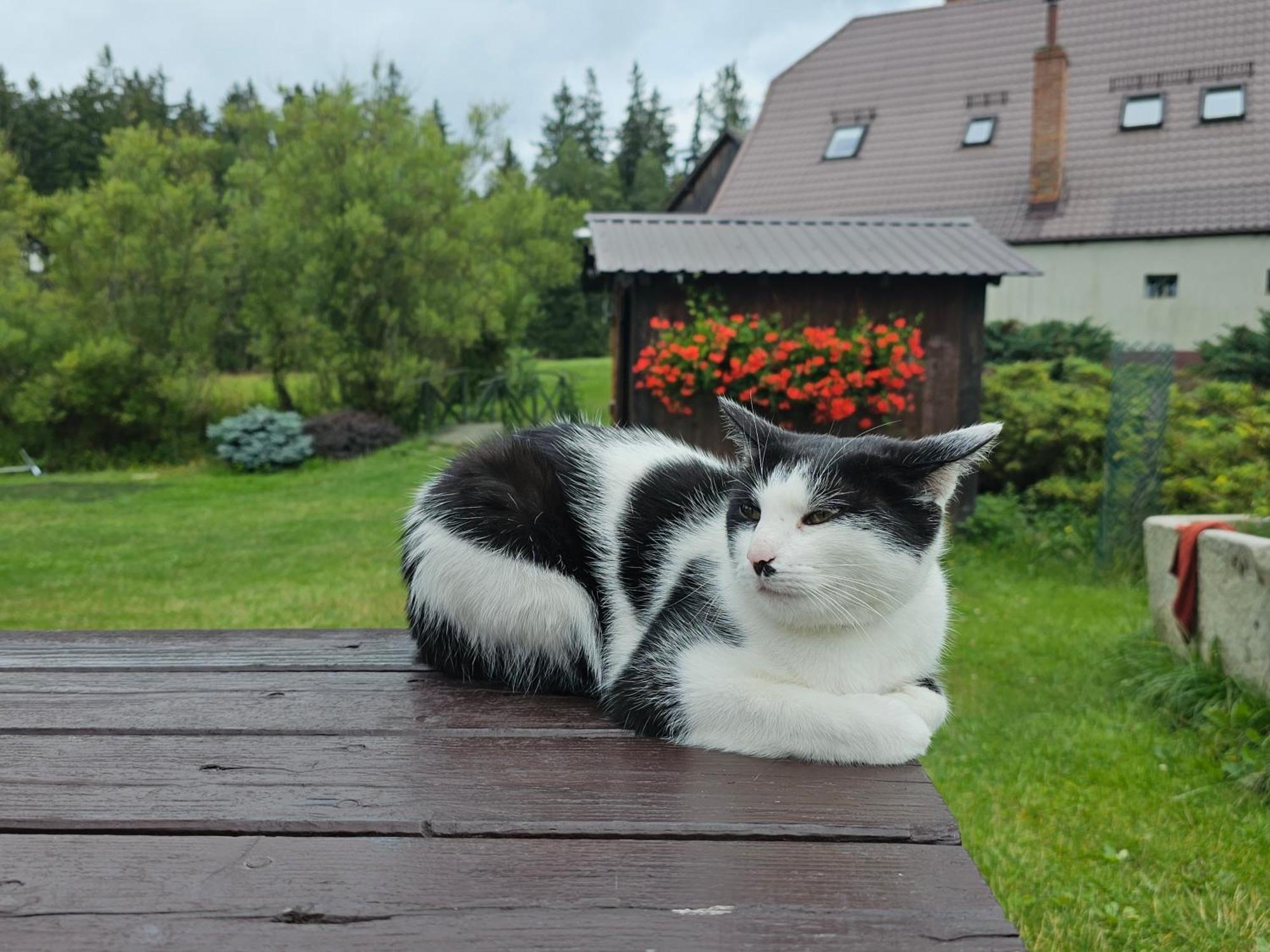 Osmelakowa Dolina Villa Spalona Luaran gambar